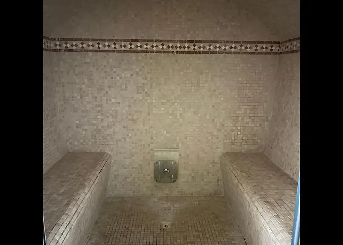 Cosy - Entierement Climatise Avec Piscine Partagee Et Garage Clos * Sète